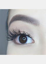 Load image into Gallery viewer, AOA Studio Eyelashes - Alexis
