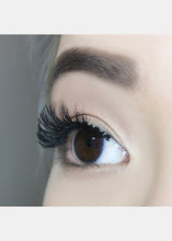 Load image into Gallery viewer, AOA Studio Eyelashes - Scarlette 6-Pack
