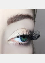 Load image into Gallery viewer, AOA Studio Eyelashes - Sofia
