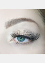 Load image into Gallery viewer, AOA Studio Eyelashes - Sofia
